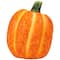 Fall Harvest Ceramic Pumpkins Decoration Set